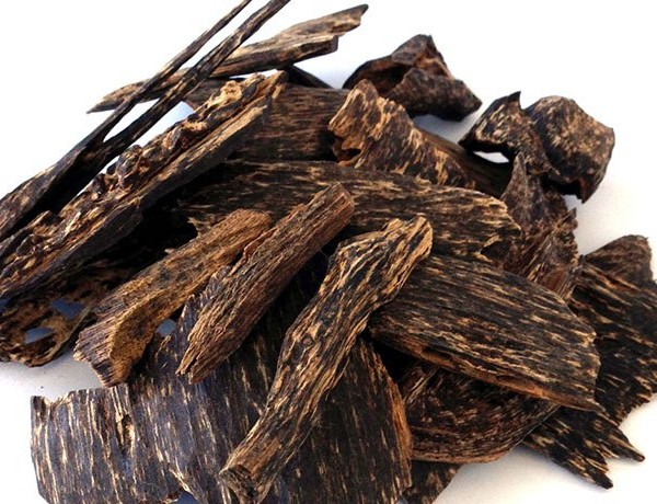 Trầm Hương Khánh Hòa