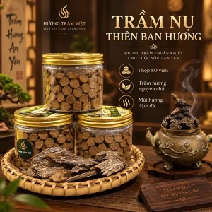 Trầm hương nụ Khánh Hoà loại 1: Thiên Ban Hương -Mùi Thơm Ngọt Ngào Sâu Lắng