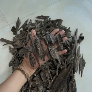Trầm Hương Tự Nhiên Xông Đốt